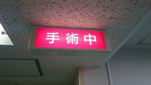 11988732_10206017218168692_2625534776260268642_n